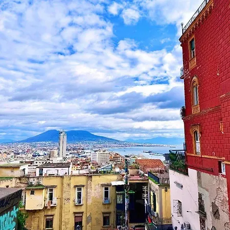 Cotto Napoli